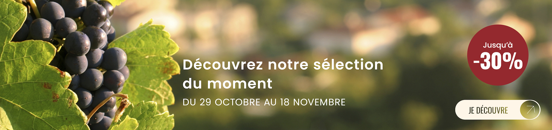 SLIDER DEKSTOP FR OP11.png